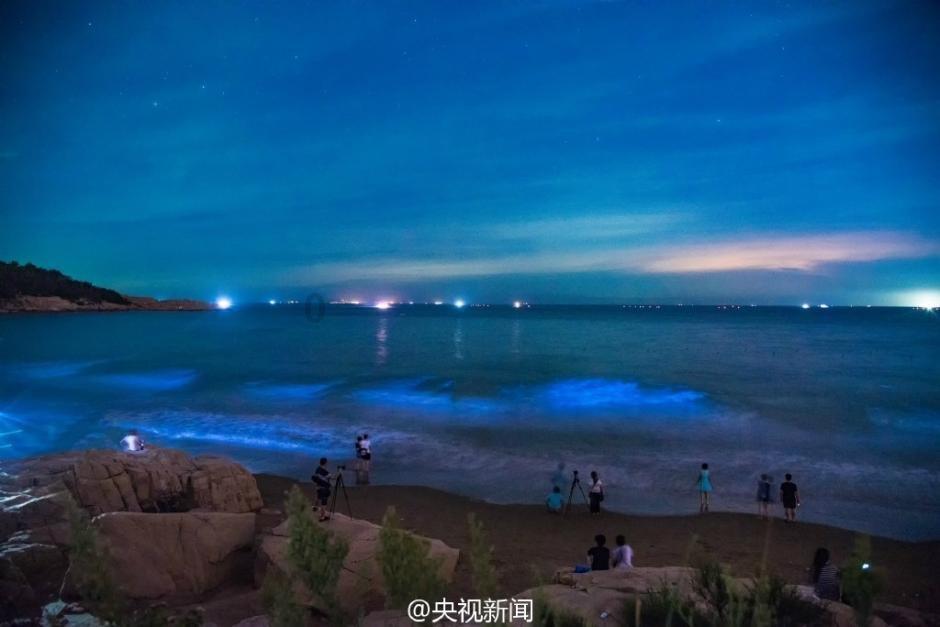 战锤：全面战争2